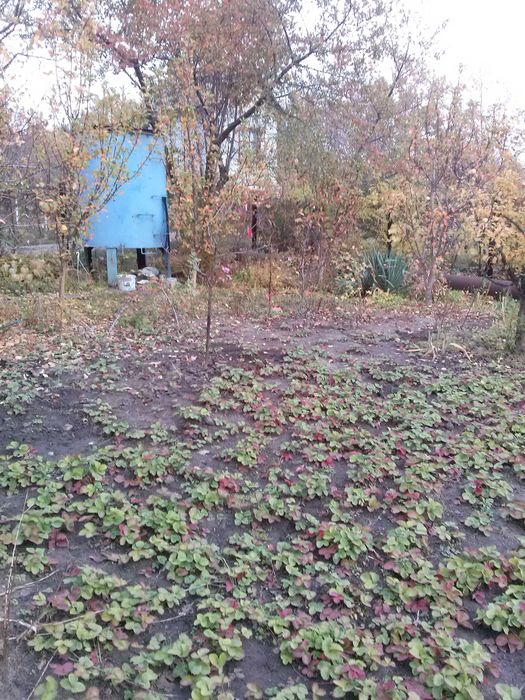 ДАЧА, Дніпро, Дніпровський район (Дніпро-2) Не далеко від "Старі Кодаки" (скрин карти додаю) (дача Днепр)