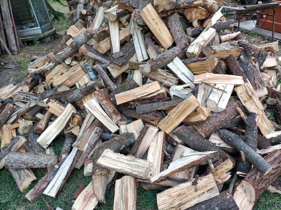 Lenha mistura pinho e acácia e eucalipto