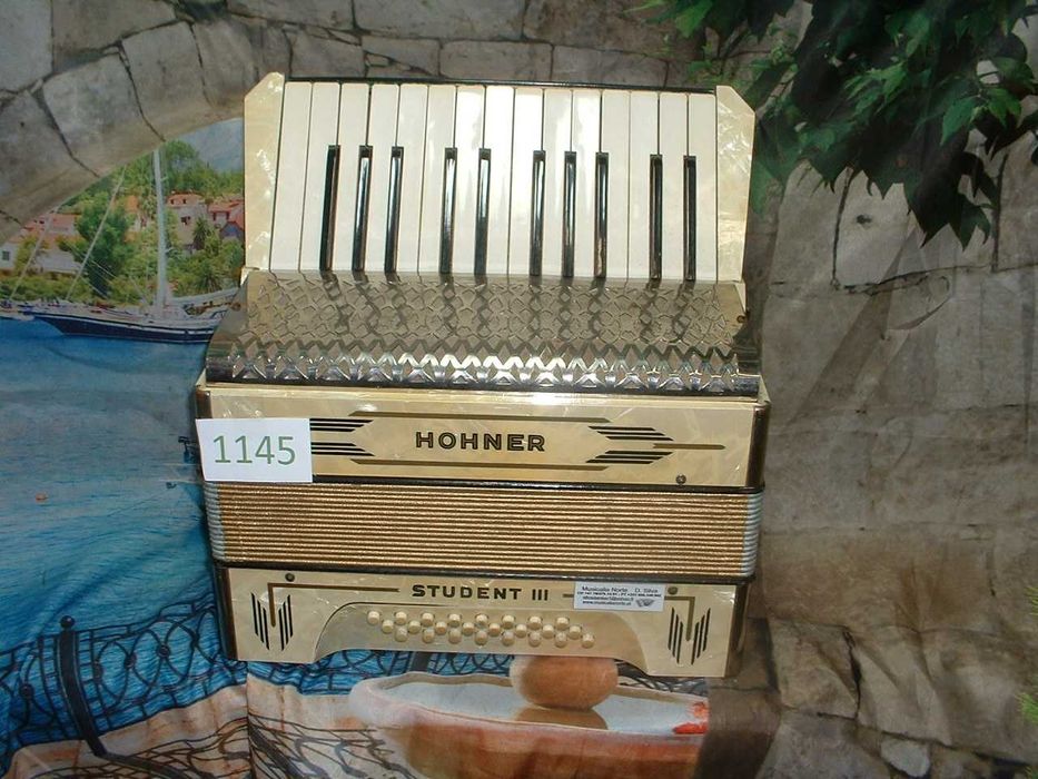 Promoção de Acordeões de concertinas