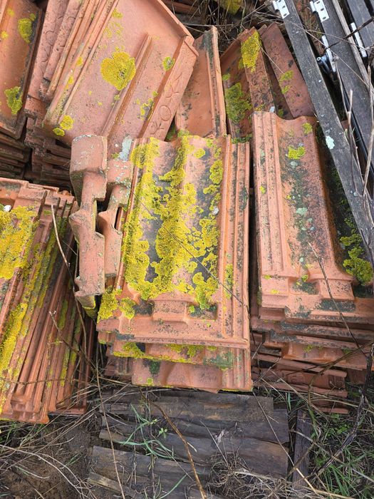 Telhas ,dou estas telhas a quem quiser vir busca- las