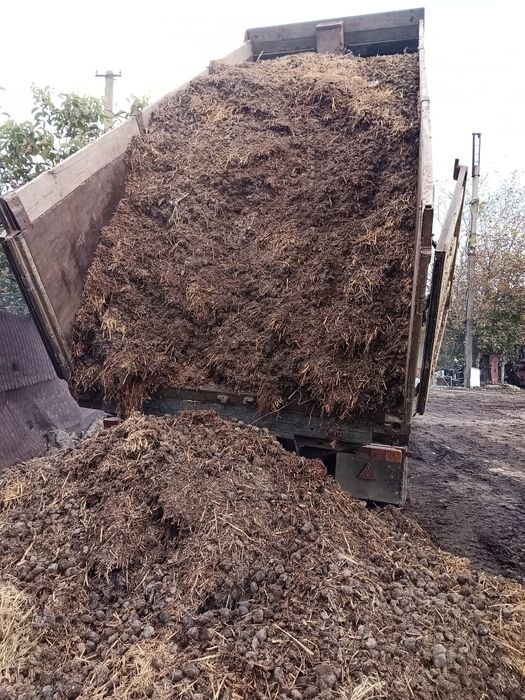 Сипець , перегной , чернозем , глина.