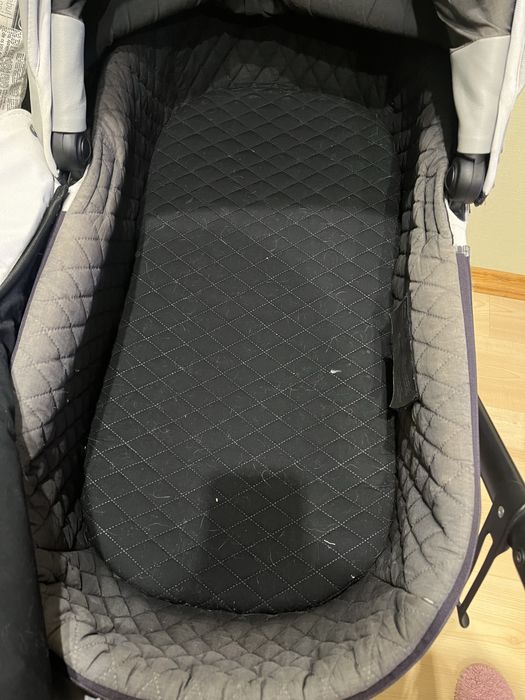 дитяча коляска Anex Cross 3в1