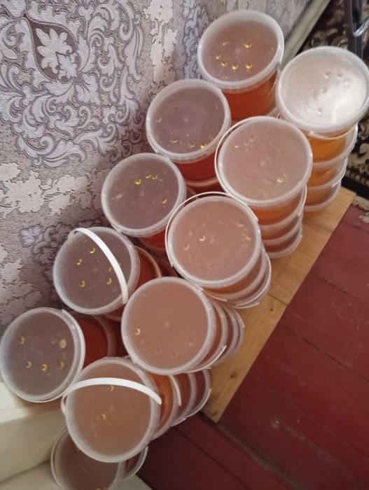 Мед лісовий та акації