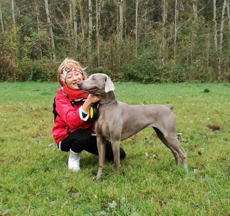 Opieka nad psem w domku z ogrodem - hotel dla psa Poznań
