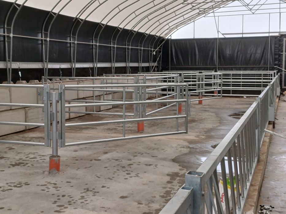 Drabiny kojec dla bydła