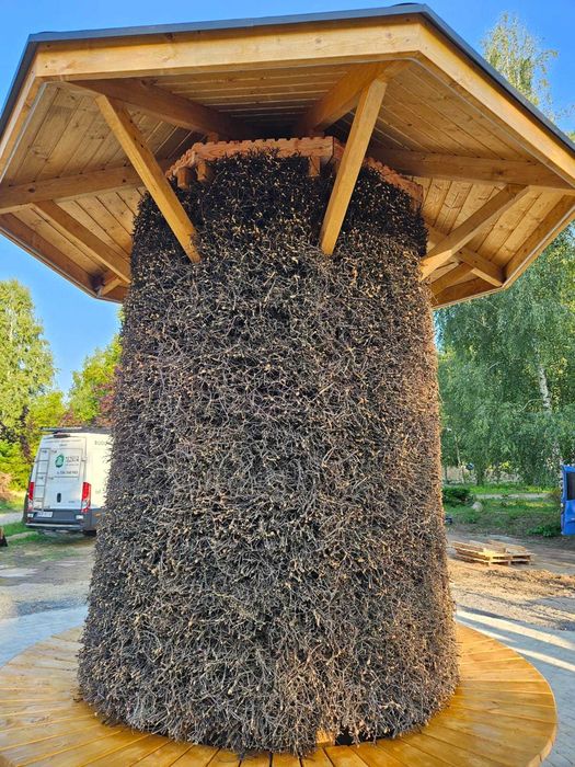 konstrukcja elementy drewniane tężnia