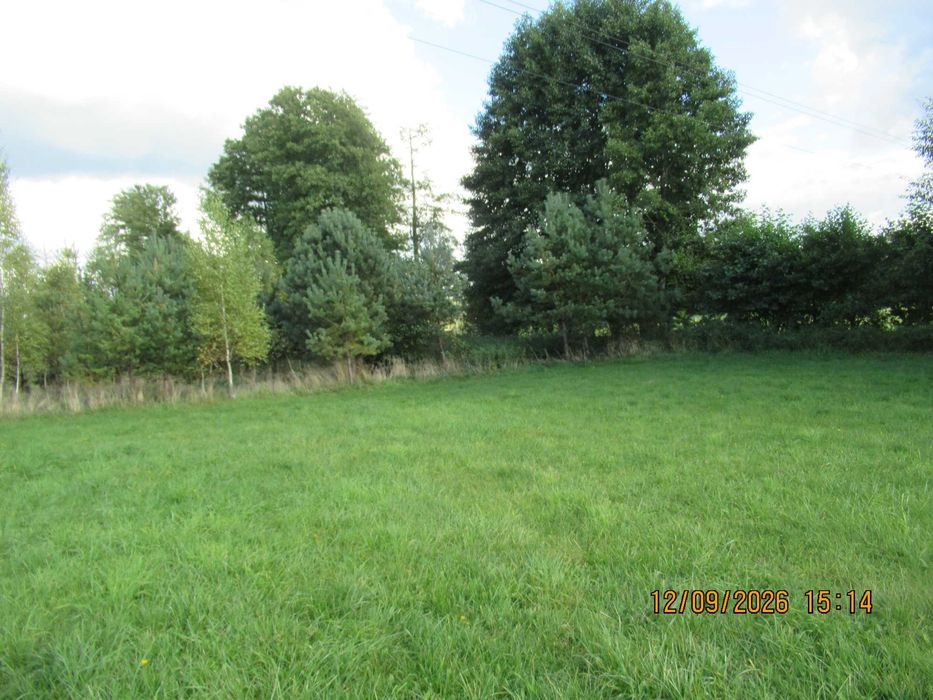 Posiadłość 10 288 m² z domem i WZ na Pensjonat – Czysta KW