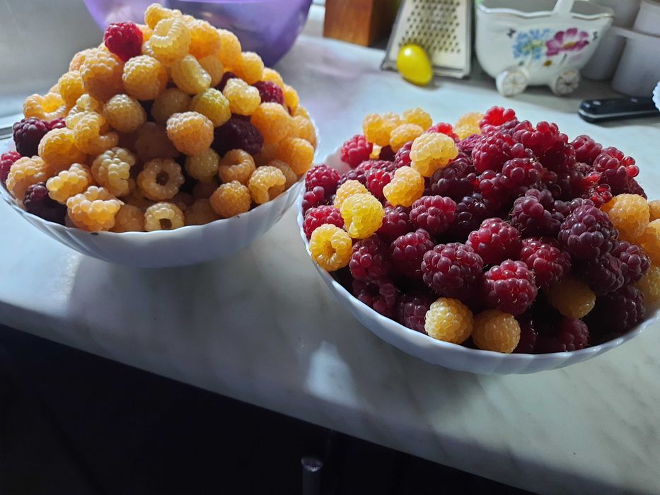 Вареня з малини, варення с пелюсток чайної рози