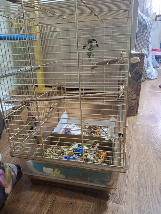 Клітка для папуги стан ідеал