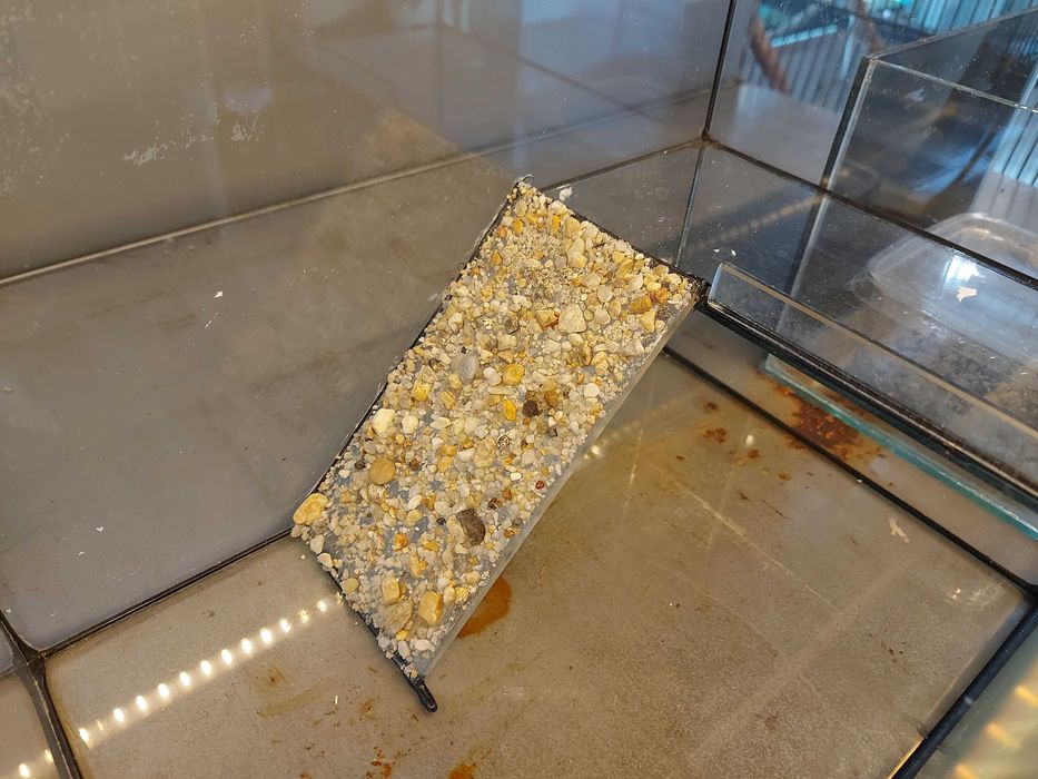 Sprzedam używane terrarium dla żółwia wodnolądowego