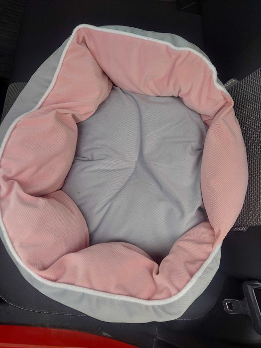 Acessórios para cães