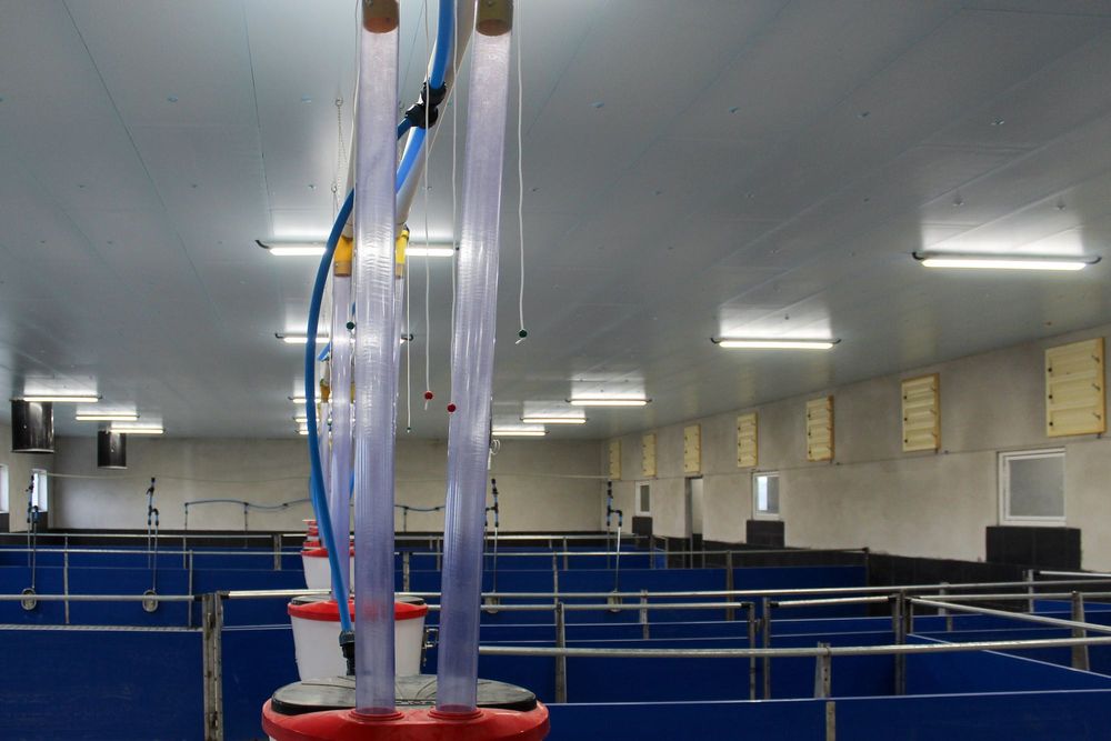 Podbitka Dachowa Budynku Inwentarskiego Magazynowego Styrodur XPS AGRO