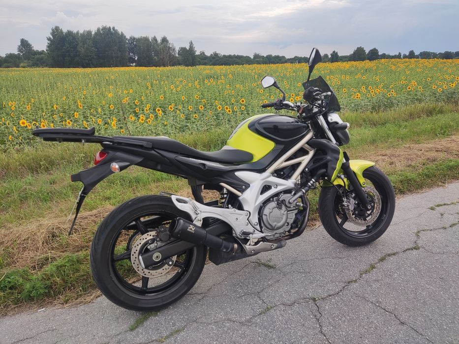 Suzuki sfv sv 650 Gladius