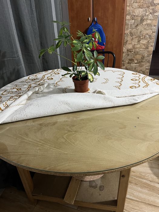 Vendo mesa de madeira