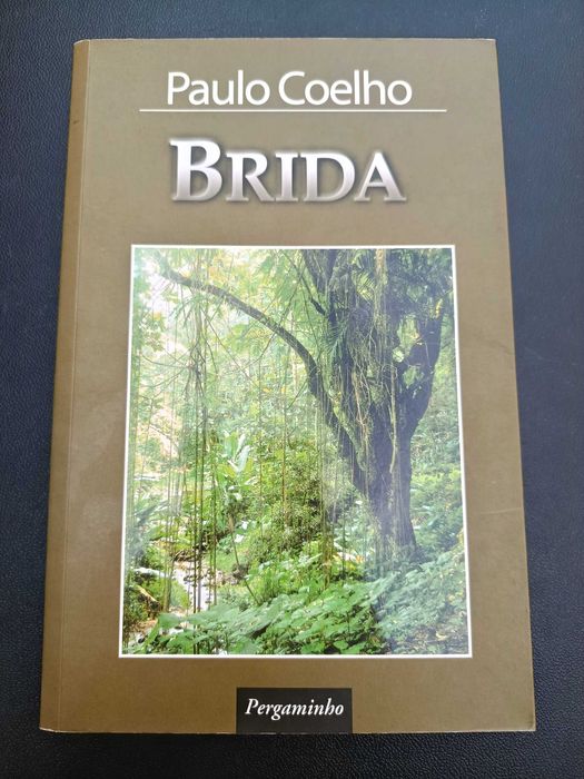Livro "Brida", Paulo Coelho