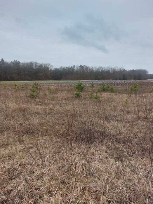 Продаж земельної ділянки с.Кунин