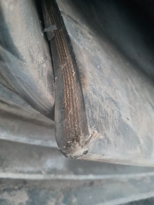 Taśma przenośnikowa skup-sprzedaż