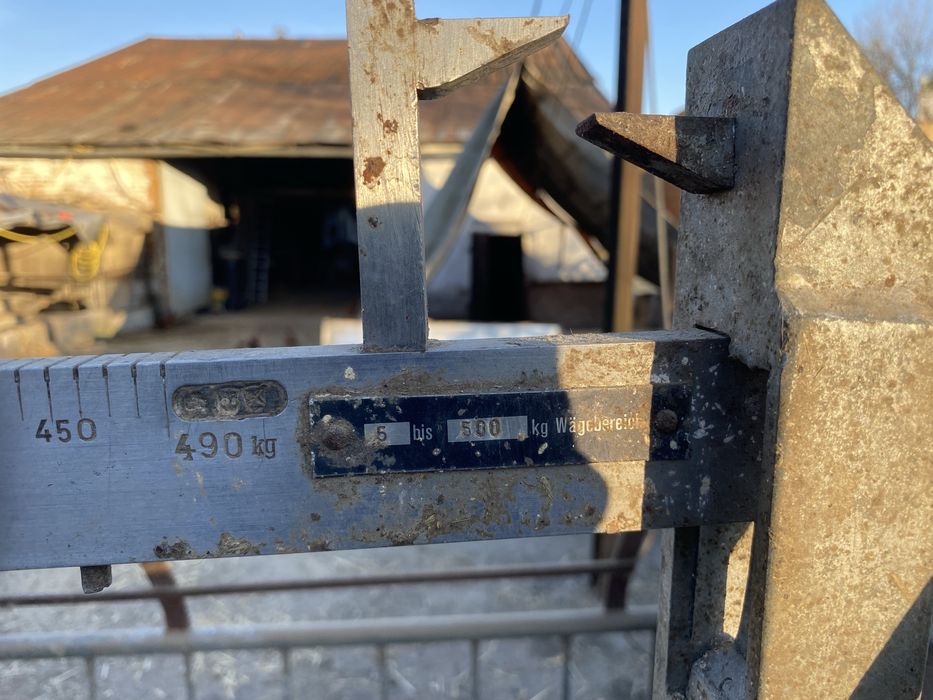 Sprzedam wagę przepędową dla świń, bydła