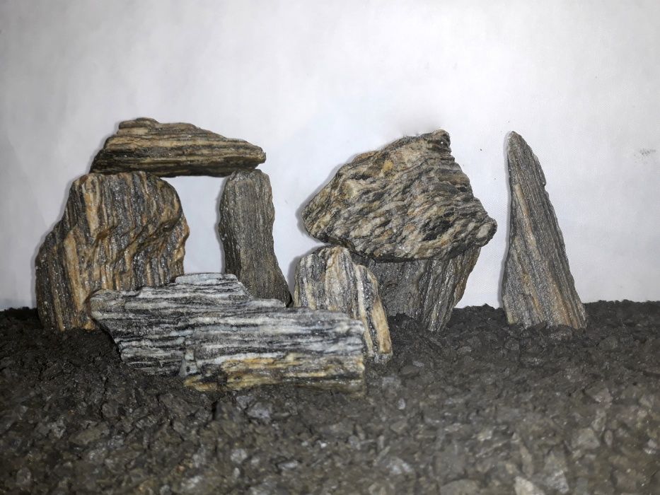 Łupek drzewiasty do akwarium - wszystkie biotopy 50-250 mm