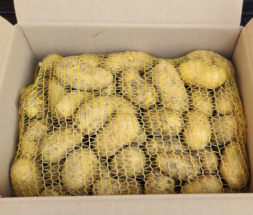 Zestaw warzyw 24kg bezpośrednio z gospodarstwa