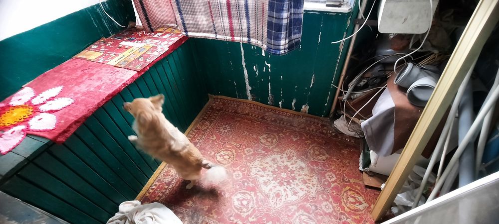 Аренда 2к квартиры на Фрунзенском