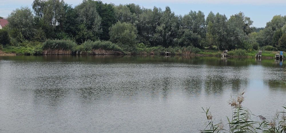 Продаю будинок Петрушки