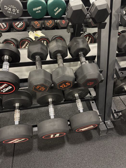 Halteres 12,5kg, 15kg, 17,5kg e 20kg