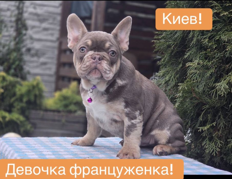 Супер девочка француженка