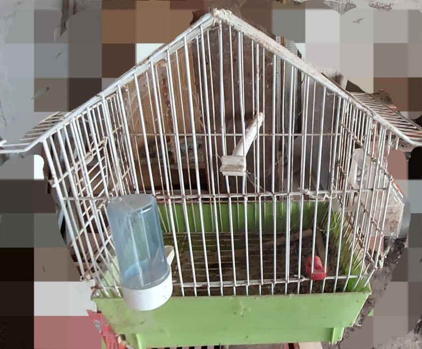 Gaiola pequena com comedouros