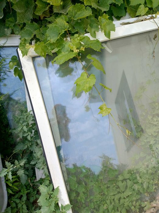 Okna plastikowe po wymianie,nieuszkodzone