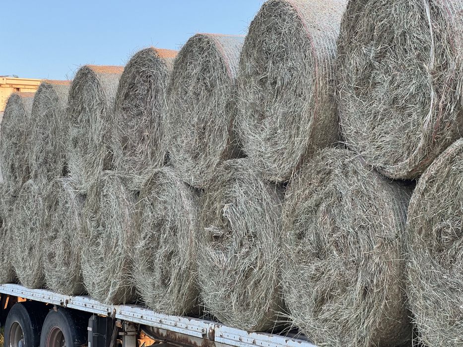 Sprzedam siano słoma sianokiszonka