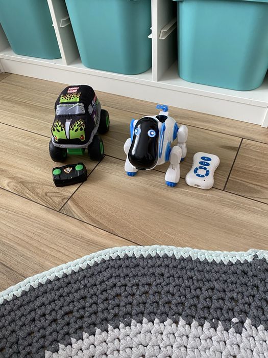 Pies robot i auto na pilota