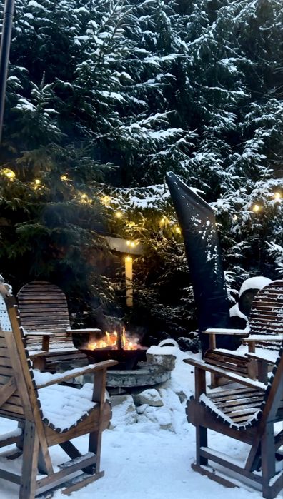 «Котеджі біля лісу» на 4-8 осіб