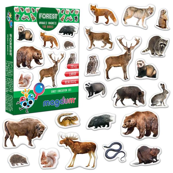 Магніти Magdum Реальні фото: Тварини, птахи, океан, фрукти ягоди