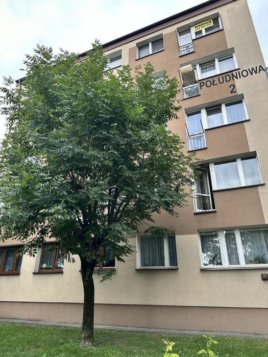Zdjęcie 2
