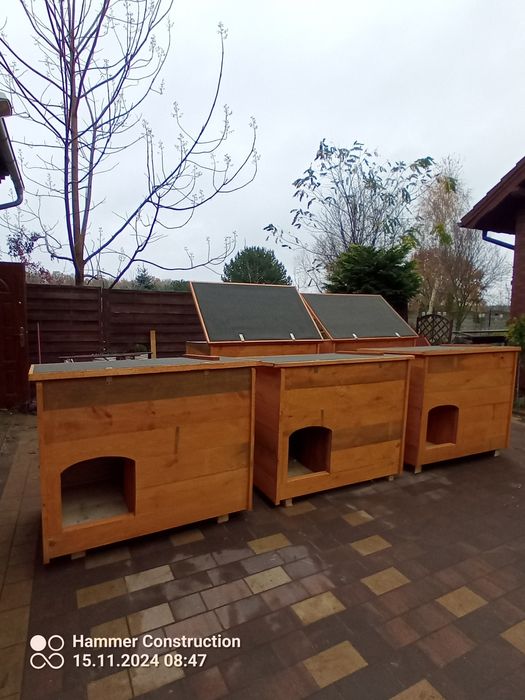 Buda dla psa polecam/Promocja!