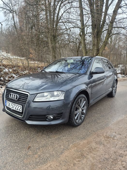 Audi A3 8P 1.6TDI