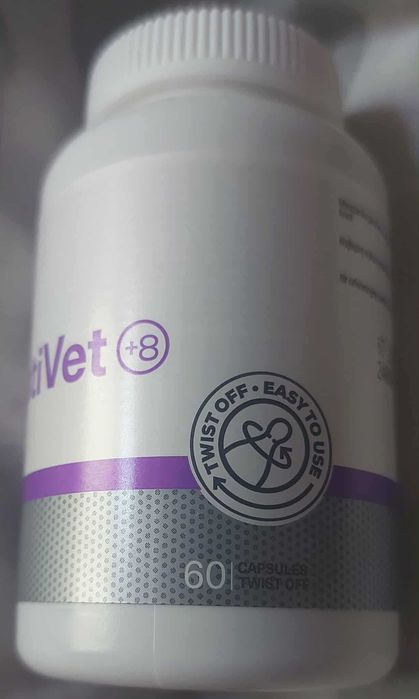 VetExpert Geriativet Cat Witaminy dla kota Senior