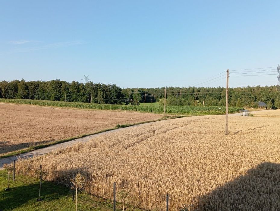 Działka Siedlisko Działka siedliskowa