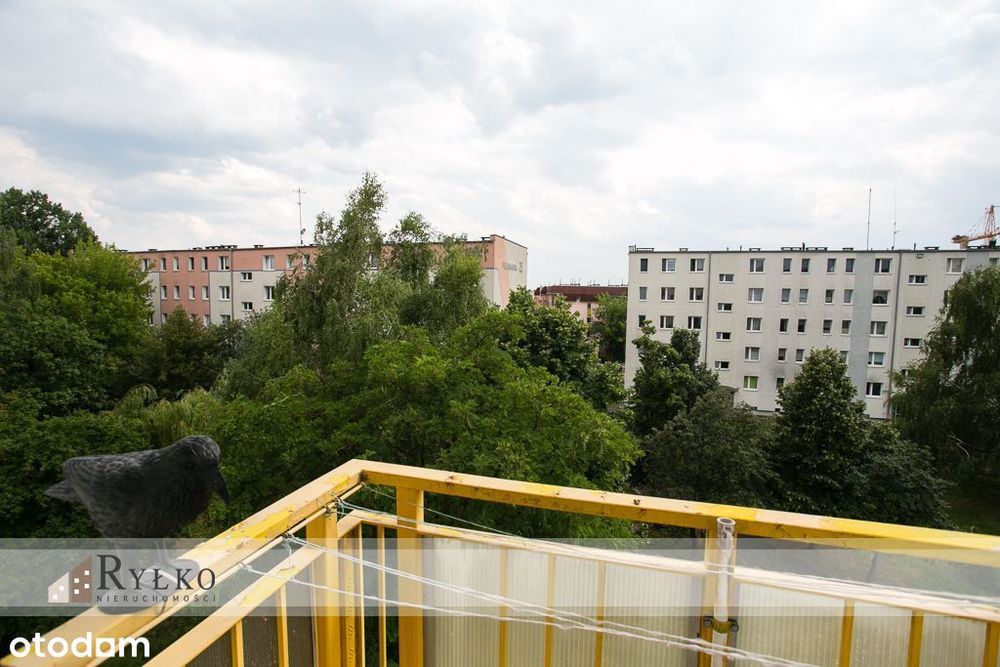 3 pokoje z widokiem na zieleń