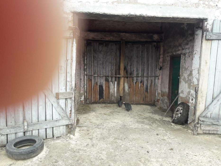 Продаж діючої ферми, агробізнесу Житомирська область, Брусилівський