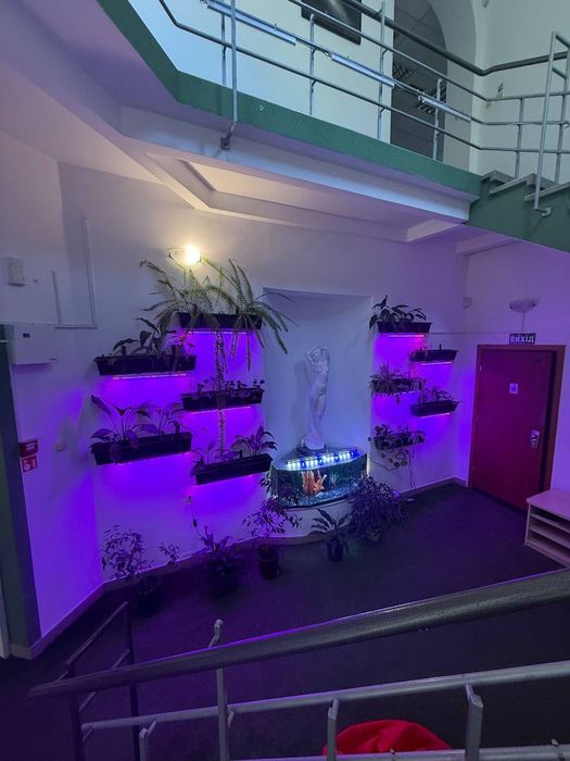 Пропоную в оренду приміщення, вул. Сміливих