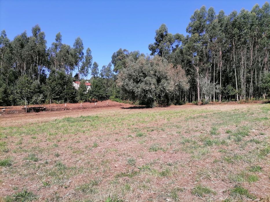 Terreno fantástico para construção