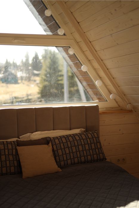 Котеджі в Карпатах