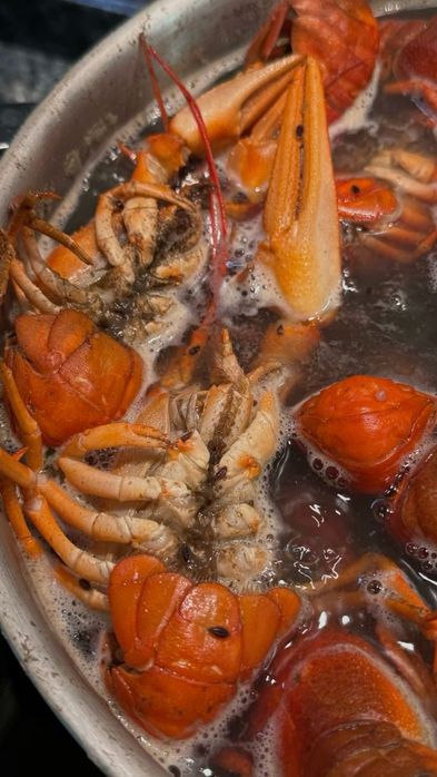 Раки живые/вареные