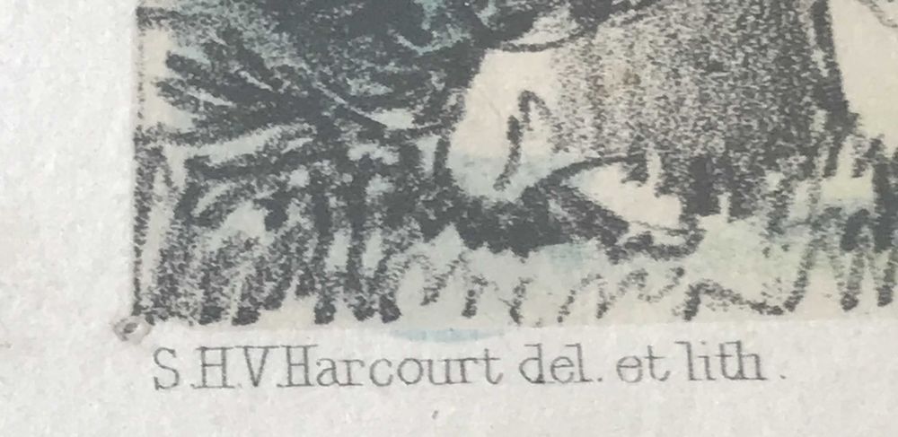 A sensibilidade feminina, numa Obra de Arte sobre a Madeira.