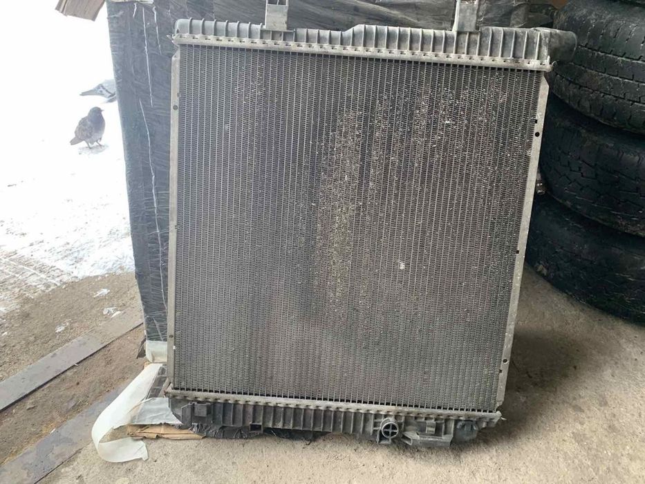 Радіатор охолодження двигуна Mercedes Vario 614 TDI
