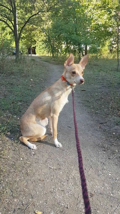 Девочка ищет дом