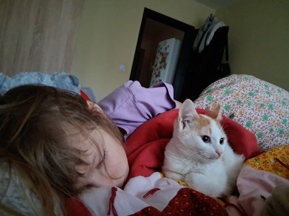 Котинята 1 Хлопчик