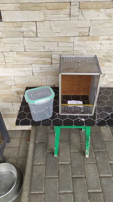 Terrarium dla modliszek i innych.